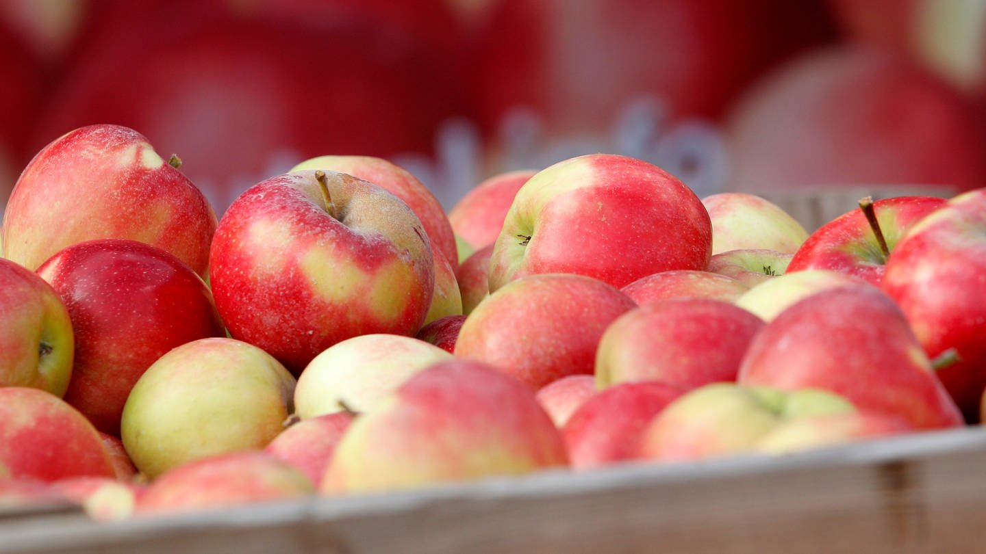 Äpfel in einer Lagerkiste: Lebensmittel aus dem Ausland können besser fürs Klima sein als regionale (Foto: dpa Bildfunk, picture alliance/dpa | Roland Weihrauch)
