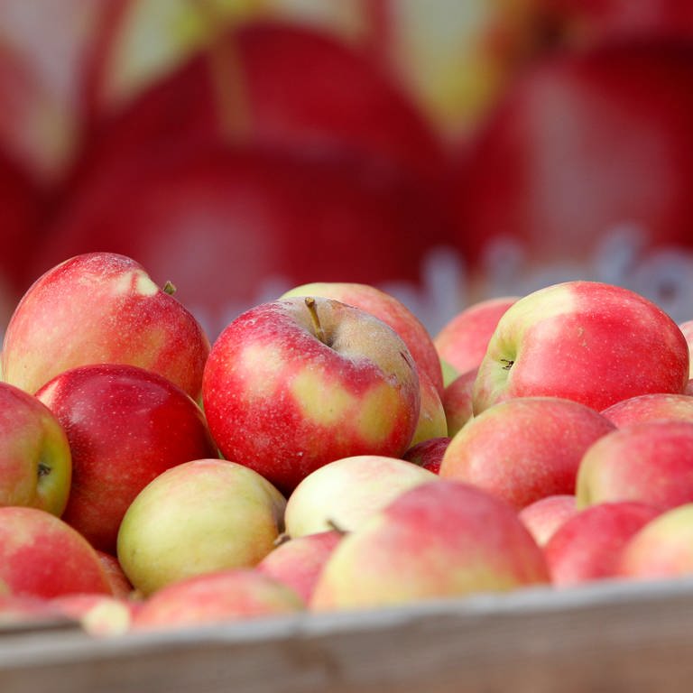 Äpfel in einer Lagerkiste: Lebensmittel aus dem Ausland können besser fürs Klima sein als regionale (Foto: dpa Bildfunk, picture alliance/dpa | Roland Weihrauch)