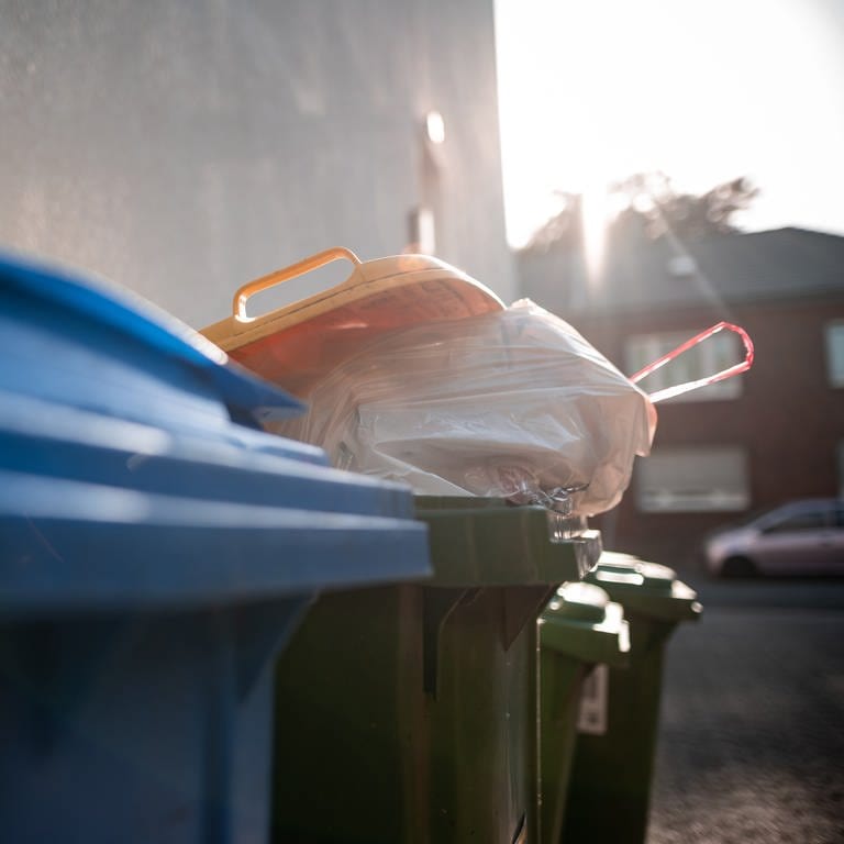 Mülltonnen stehen in der Einfahrt eines Hauses. (Foto: dpa Bildfunk, picture alliance/dpa | Fabian Strauch)