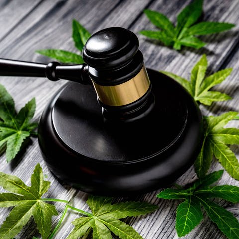 Der Richterbund hat sich gegen die geplante Cannabis-Legalisierung ausgesprochen.