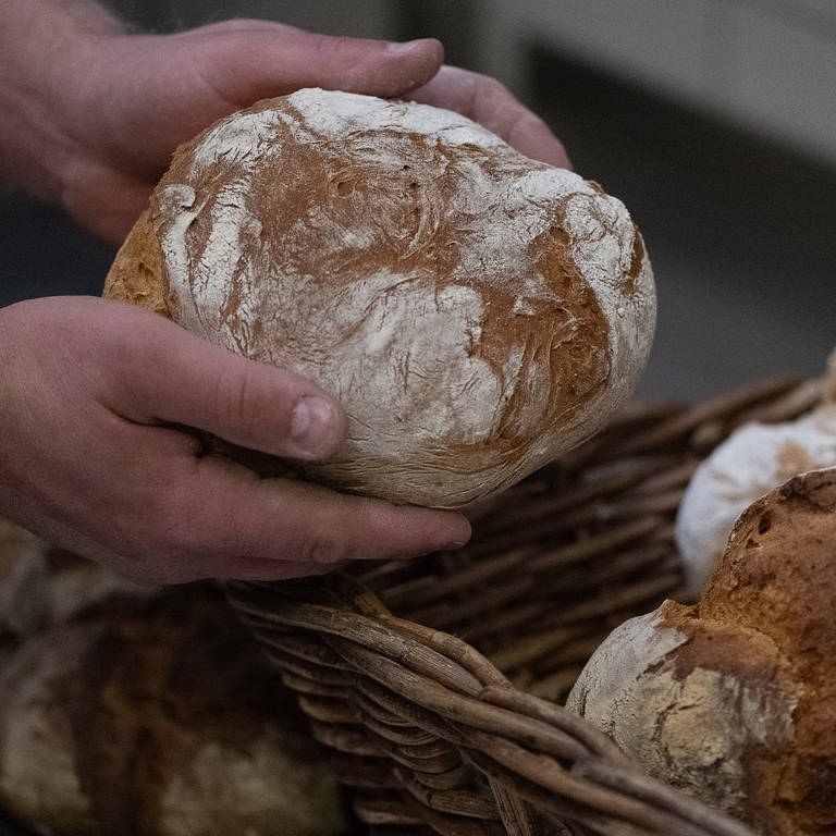 Künstliche Intelligenz hilft Bäckereien (Foto: dpa Bildfunk, picture alliance/dpa | Swen Pförtner)