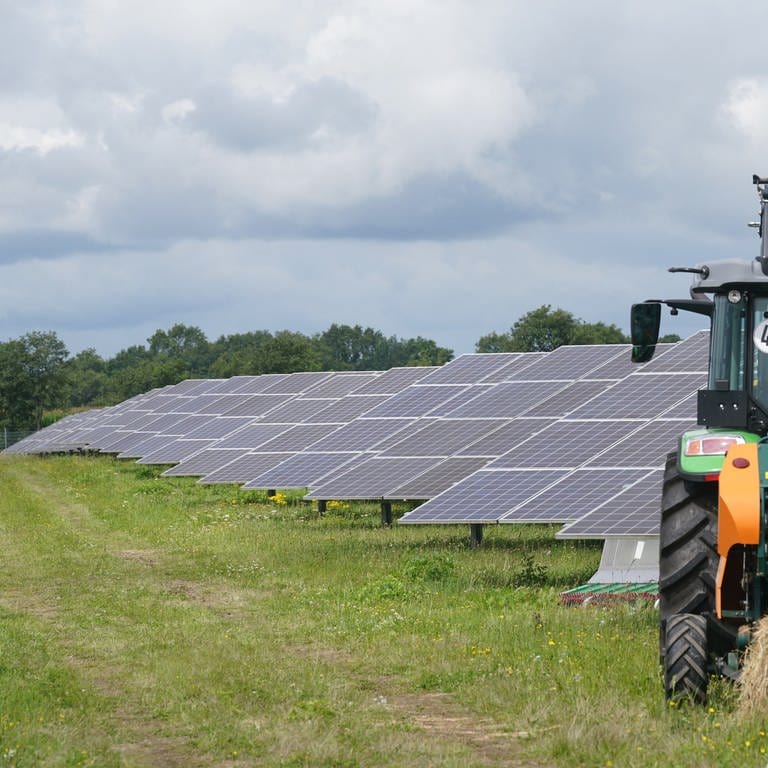 In Langenenslingen (Kreis Biberach) beginnen heute die Bauarbeiten für den Solarpark in Baden-Württemberg. Er soll Tausende Tonnen C02 einsparen.