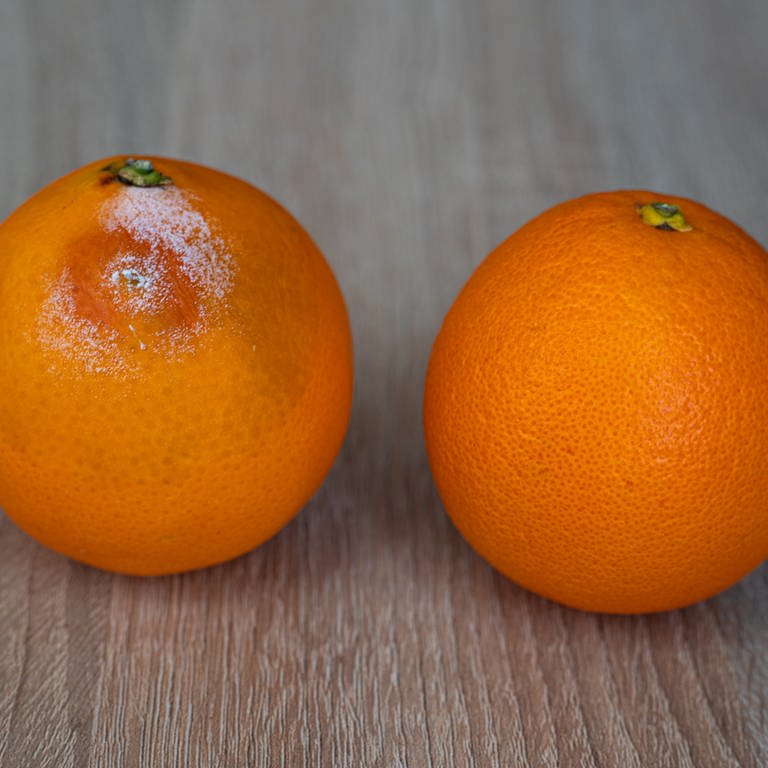 Forscher aus dem Saarland haben ein Gerät entwickelt, das gammelige Orangen erkennen kann. Das und mehr könnte bald auch mit dem Smartphone funktionieren.