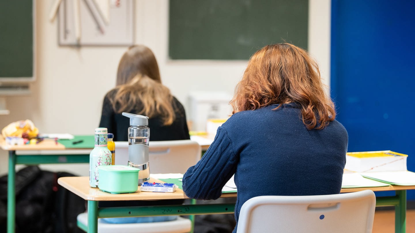Schülerinnen sitzen in einem Klassenzimmer. (Foto: dpa Bildfunk, picture alliance/dpa | Silas Stein)