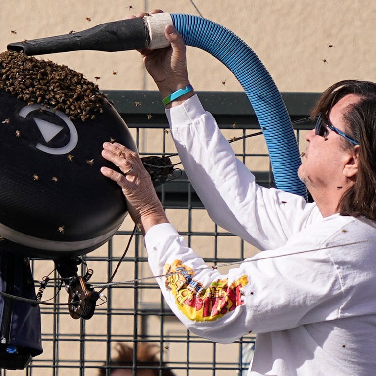 Bienen umschwirren eine Kamera während des Spiels. (Foto: dpa Bildfunk, picture alliance/dpa/AP | Mark J. Terrill)