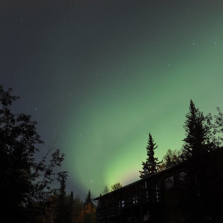 Grünes Band eines Polarlichtes strahlt am klaren Nachthimmel. (Foto: dpa Bildfunk, picture alliance/dpa | Finn Huwald)