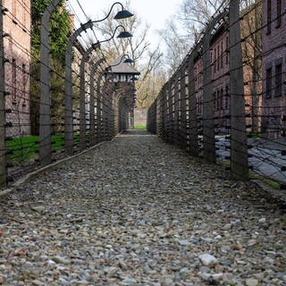 Stacheldrahtzaun und Gebäude des konzentrationslagers Ausschwitz: Soll ein Besuch dort verpflichtend sein? (Foto: IMAGO, IMAGO / Werner Lerooy)