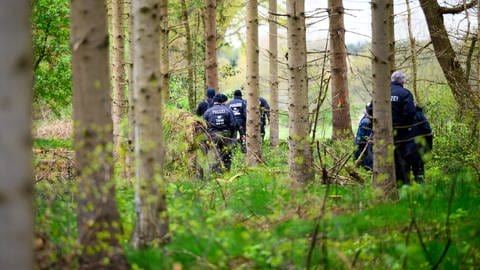 Einsatzkräfte der Polizei sind in einem Waldstück im Einsatz. Von dem vermissten sechs Jahre alten Jungen aus dem niedersächsischen Bremervörde fehlt noch immer jede Spur. (Foto: dpa Bildfunk, picture alliance/dpa | Daniel Reinhardt)