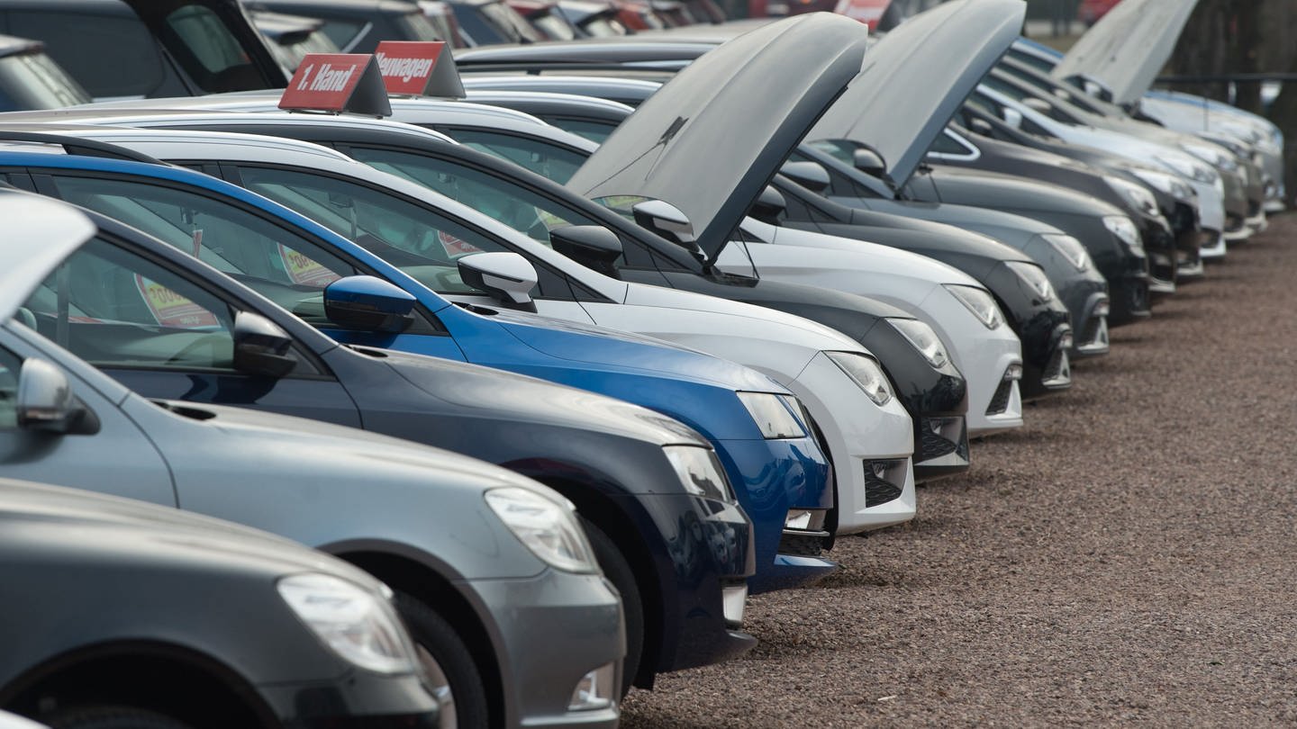Neu- und Gebrauchtwagen stehen bei einem Autohändler nebeneinander. - Ukrainer bekommen kostenlose Autos?! Das sind Fake News (Foto: dpa Bildfunk, picture alliance/dpa/dpa-Zentralbild | Sebastian Kahnert)