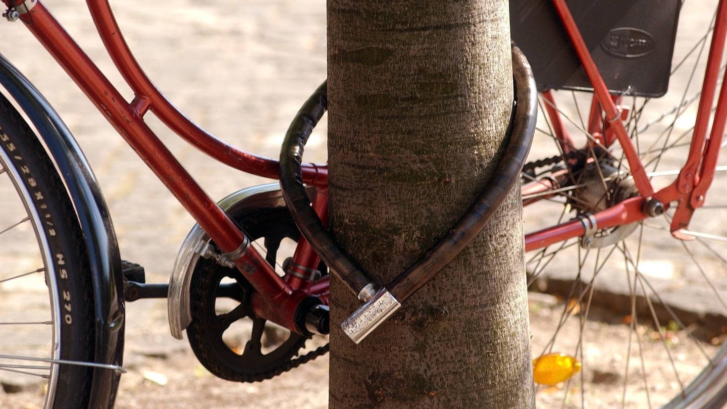 Fahrrad abgeschlossen am Baum (Foto: IMAGO, IMAGO / Seeliger)