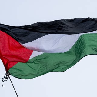 Die Flagge von Palästina wird bei einer propalästinensischen Kundgebung geschwenkt.