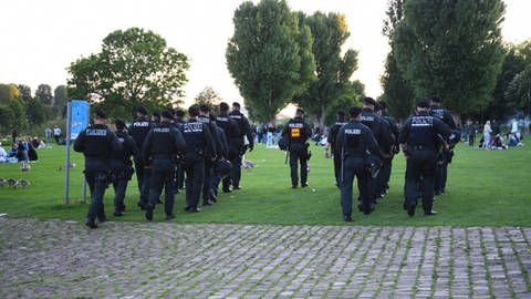 Polizeibeamte gehen über die Neckarwiese in Heidelberg (Foto: dpa Bildfunk, picture alliance/dpa/Rene Priebe | Rene Priebe)