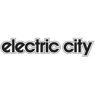 electric city in Koblenz (Foto: DASDING)